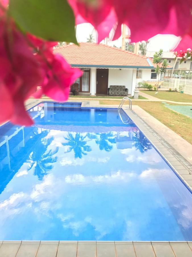 White Rose Beach Resort Marawila Bagian luar foto